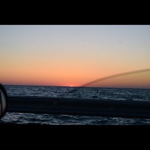 Meet your Posher, Luis